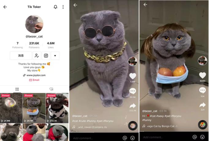 tiktok capcut app