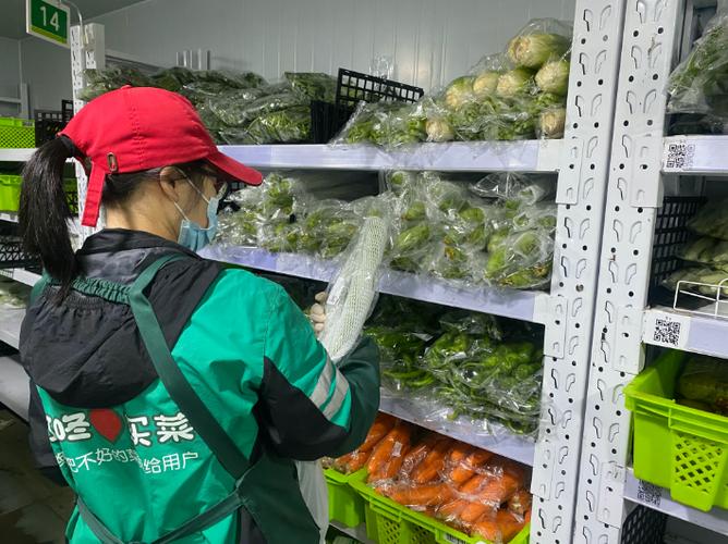 哥王叮咚买菜