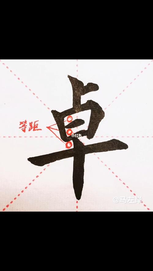 twitter安卓下载缩略图