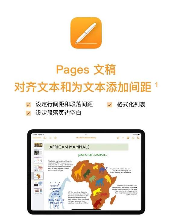 koyo下载安装