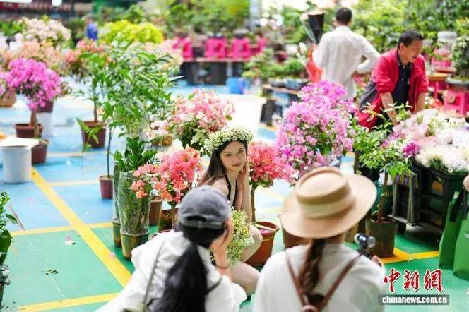 花香视频缩略图