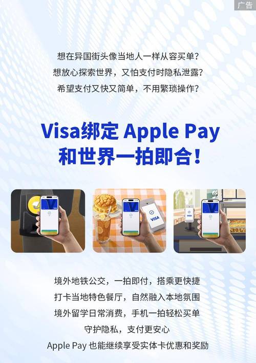 visa绑定apple pay图标