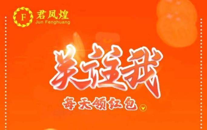 君凤凰怎么赚钱缩略图
