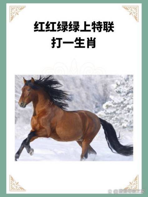 54年属马女寿命是多大