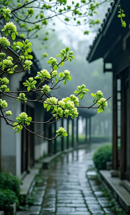 《江南烟雨》原唱