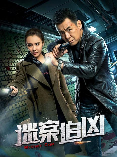 公安刑侦类小说