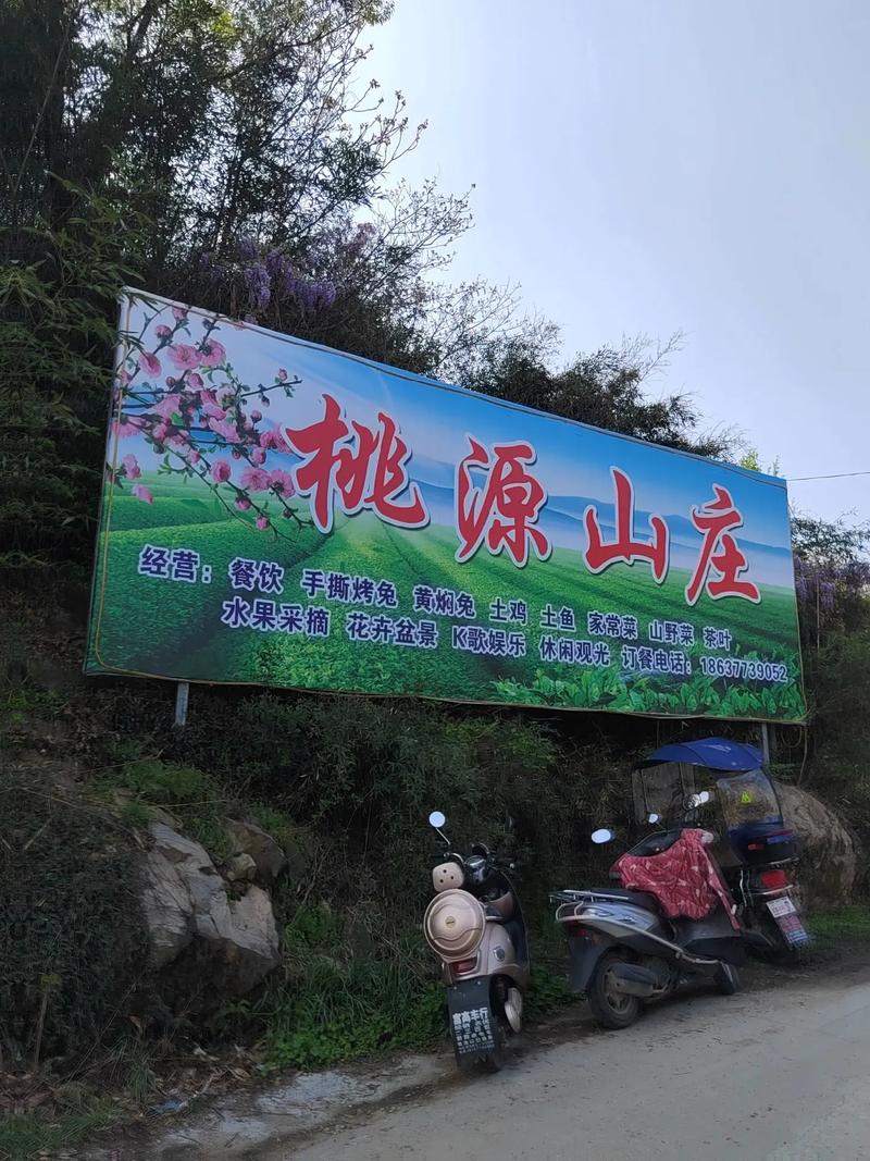 桃源山庄小说图标