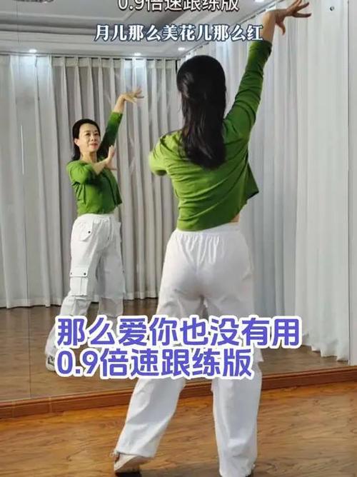 跳广场舞视频教学初学简单游戏截图