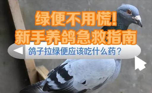 养鸽子人容易得什么病