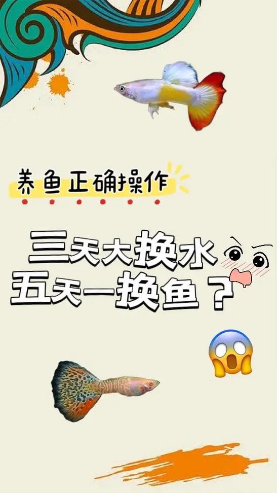 金鱼缸换水的正确方法图标