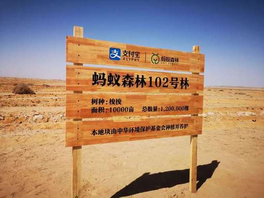 支付宝 蚂蚁森林缩略图