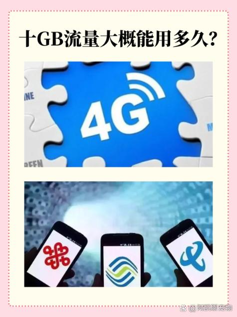 10个G流量能用多久缩略图