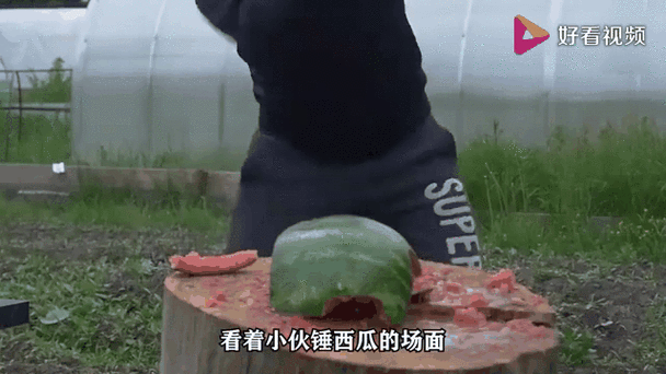 极速版西瓜视频游戏截图