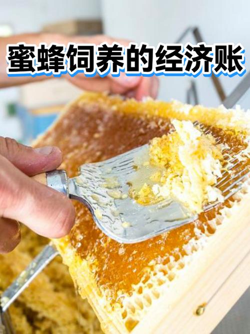 养蜜蜂一年能赚多少钱图标
