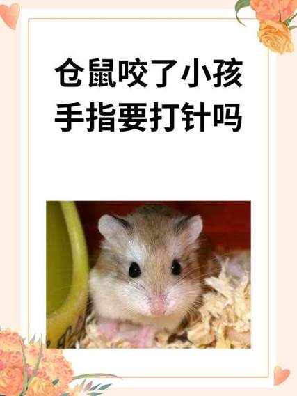 被仓鼠咬后注意什么图标