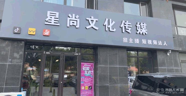文化传媒有限公司游戏截图