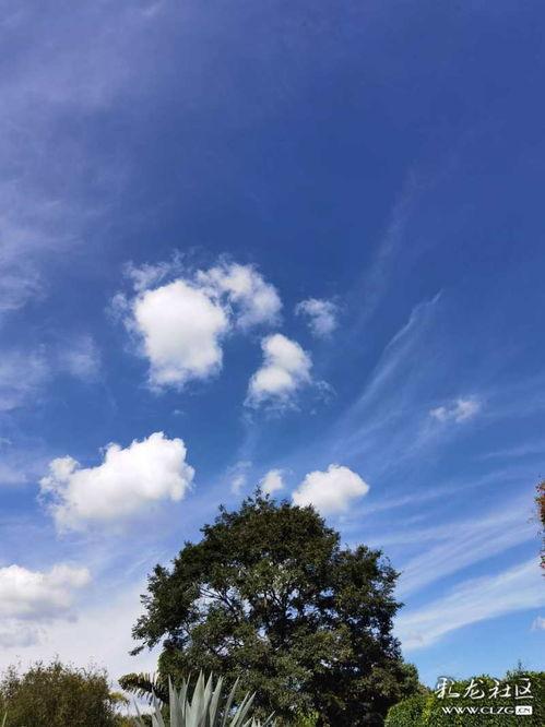 轻量级的云服务器