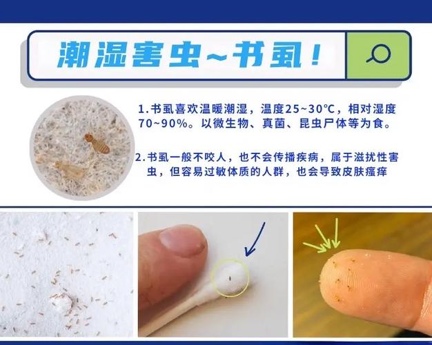 家里出现蠹虫要警惕了
