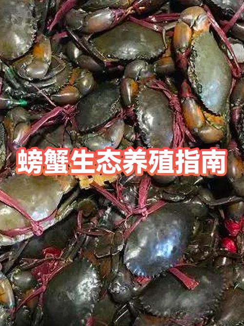 什么是生态养殖缩略图