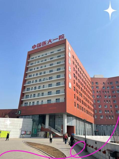 沈阳医大挂号网上预约