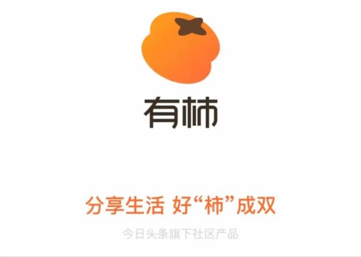 有柿图标