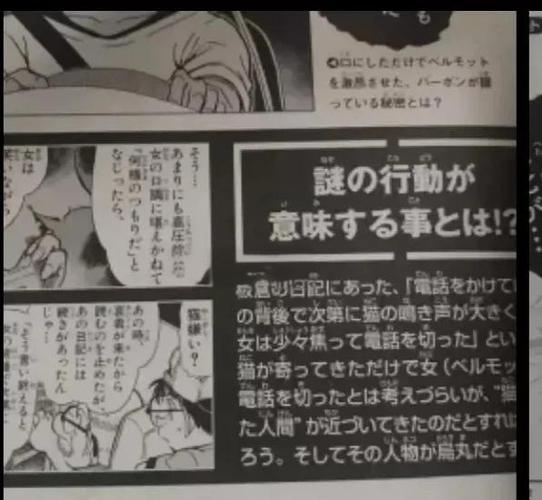 委员长的日记下载安卓汉化
