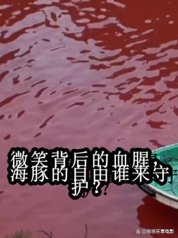 海豚湾分析游戏截图