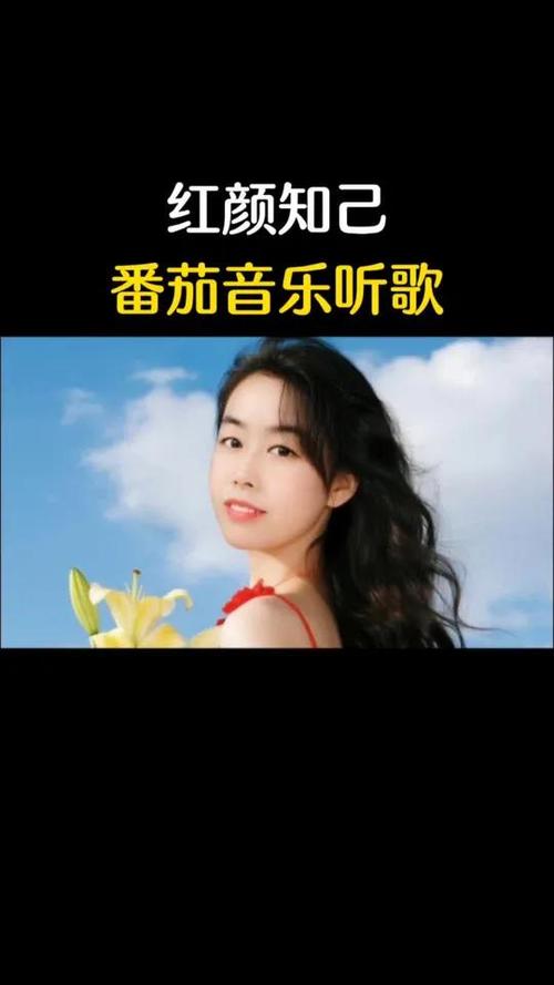 番茄经典歌曲大全图标