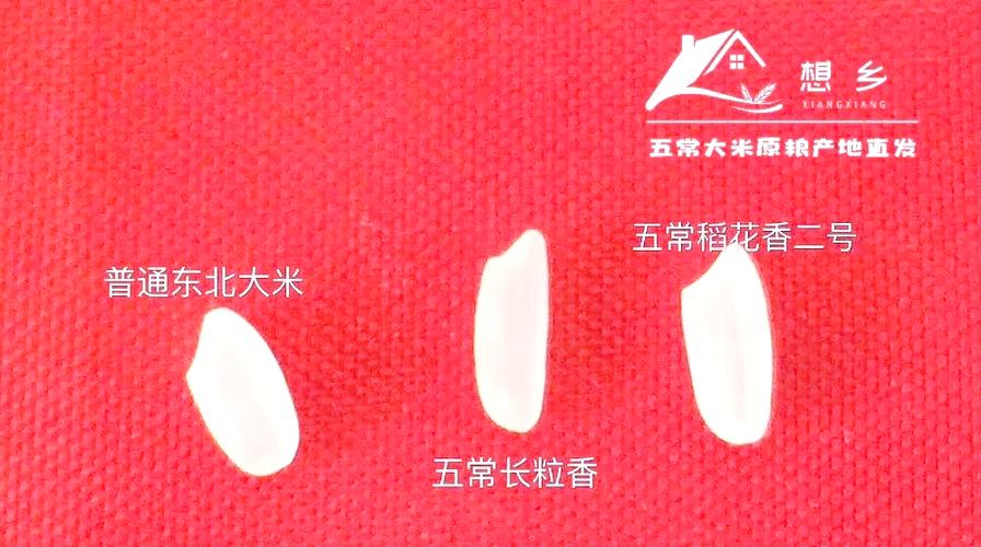 五常大米真假鉴别缩略图