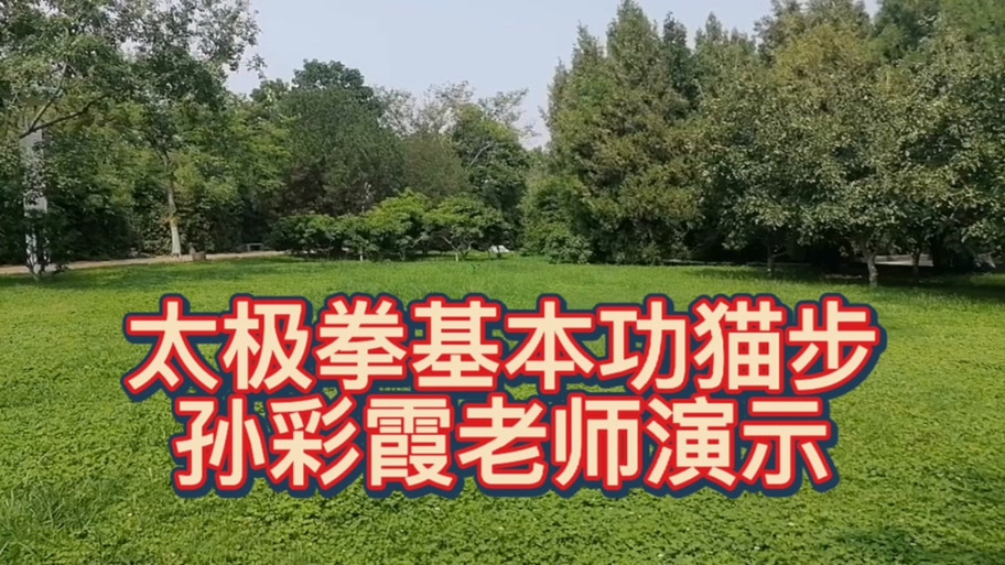 猫步太极步法详解缩略图