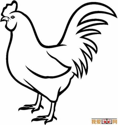 简笔画公鸡简单又漂亮缩略图