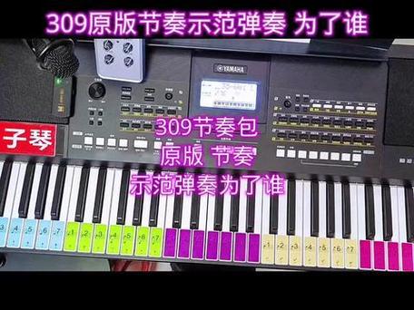 kb309电子琴节奏包图标