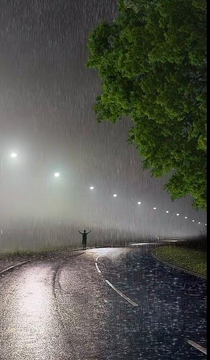 前路漫漫雨纷纷下一句诗词