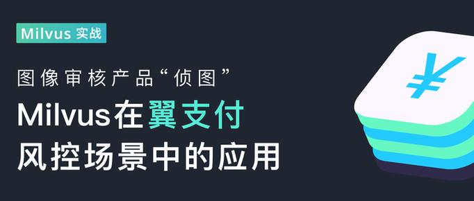 为什么翼支付在支付时显示风控校验