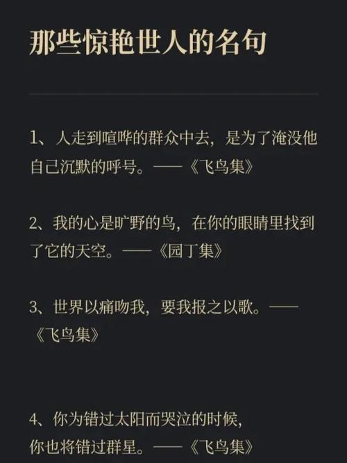 导航经典语录100句缩略图