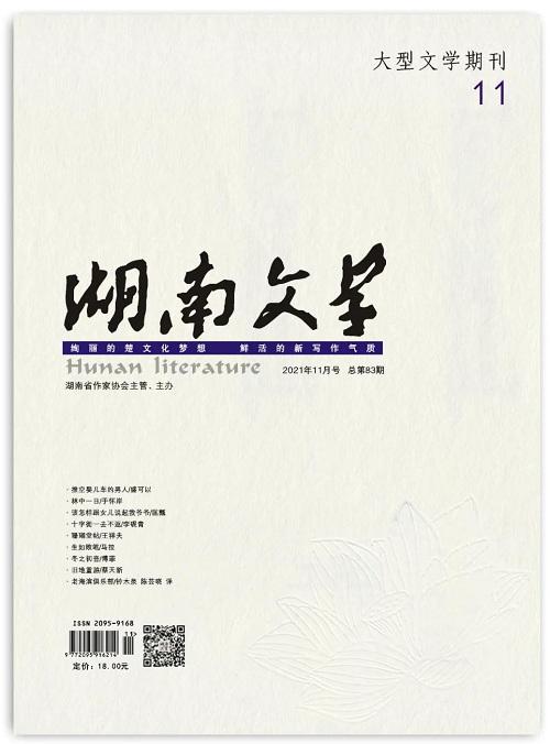 文学杂志参考网缩略图
