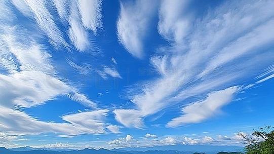 天空视频最新版下载缩略图