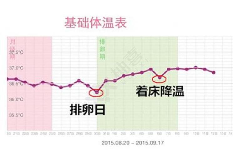一旦着床成功体温升高到多少图标