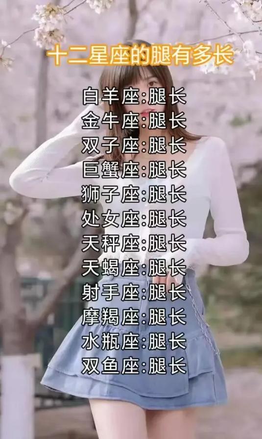 十二星座每日运势对比游戏截图