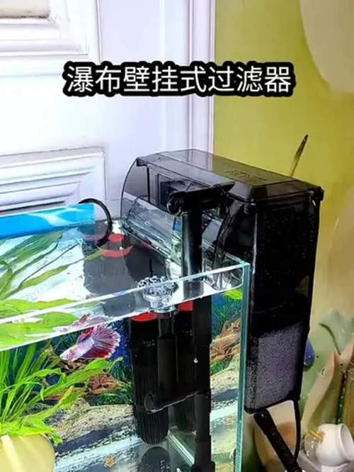 鱼缸过滤器哪种最好最实用缩略图