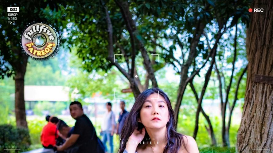 fullfive第一季到第九季在线观看缩略图