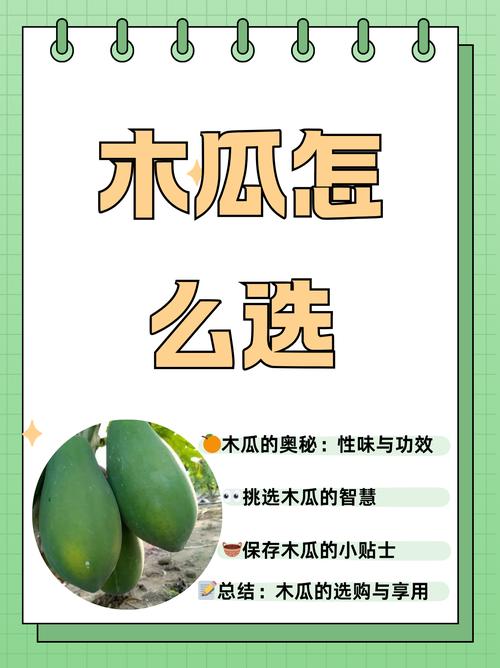 木瓜转转发文章赚钱安全吗