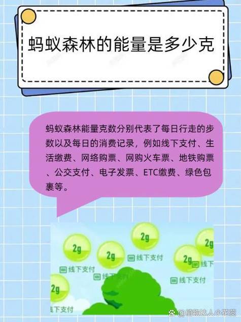 蚂蚁森林开启步数能量缩略图