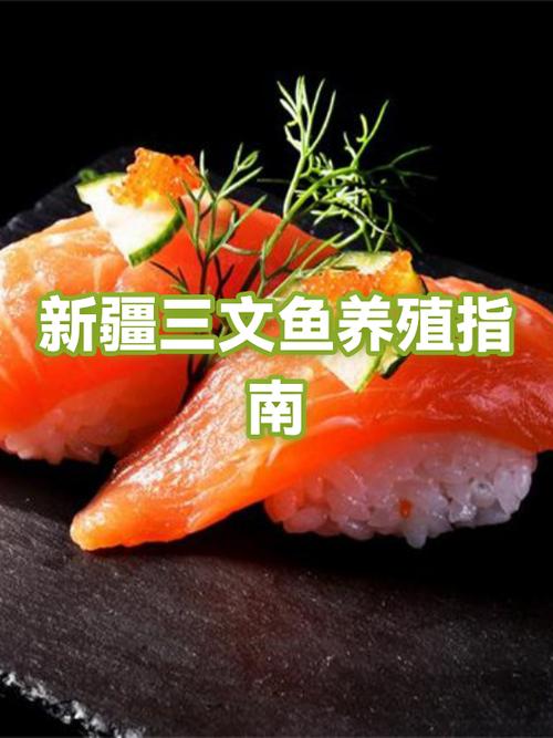 三文鱼如何保存才新鲜
