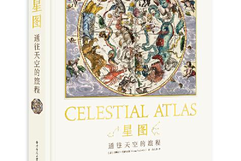 最好用的卫星地图图标
