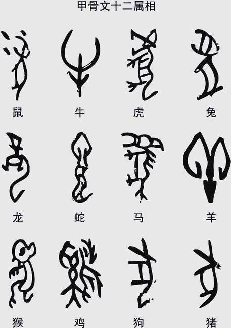 12生肖甲骨文汉字对照表大全缩略图
