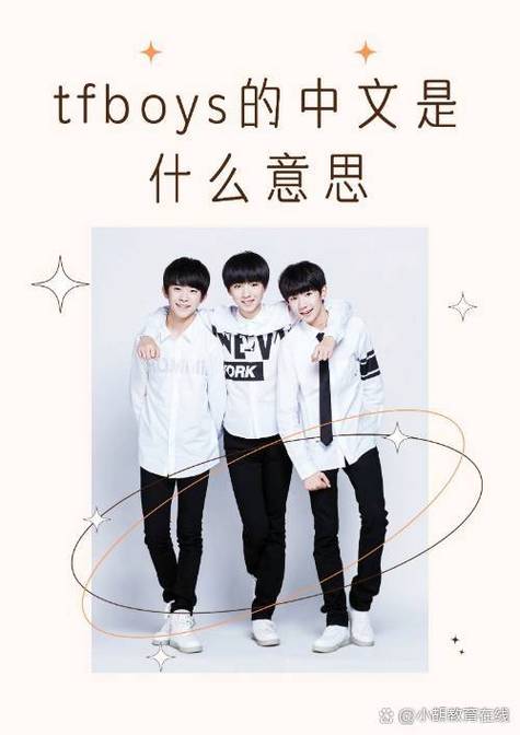 yhboys成员资料缩略图