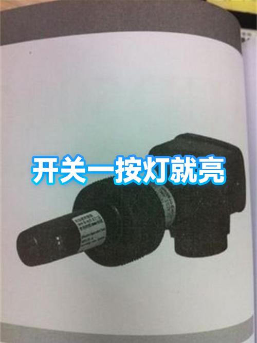 灯开关按了过一会才亮