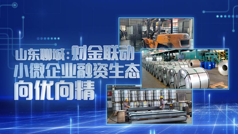 聊城财金发展有限公司缩略图