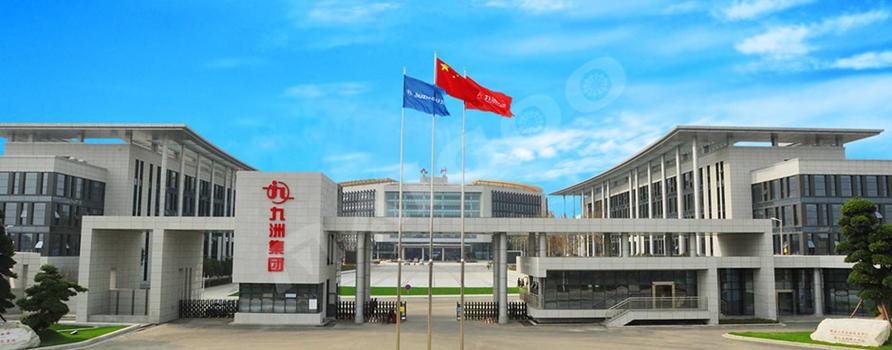四川九洲集团的现状图标